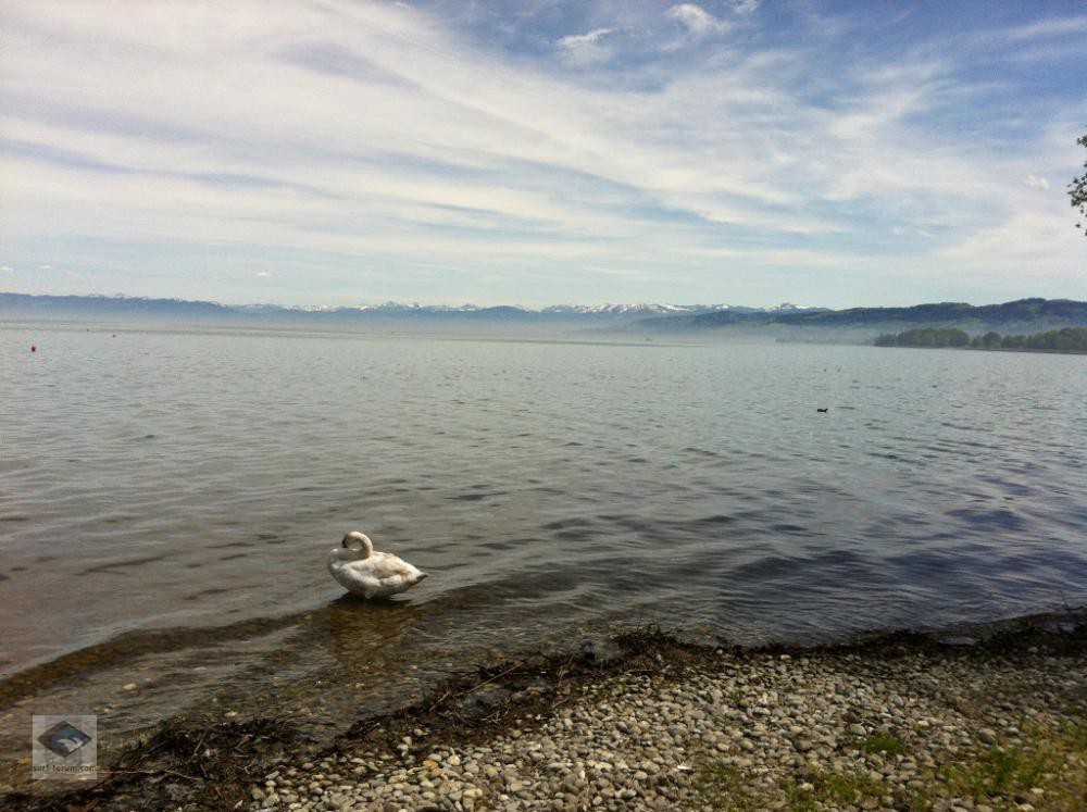 Blick Richtung Lindau 2