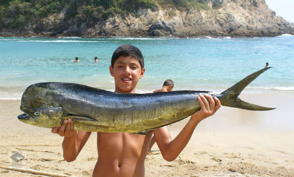 Punta chivo surf Camp in Salina Cruz, Oaxaca, Mexiko. 
Schauen  Sie jetzt vorbei www.puntachivosurfcamp.com
Weltklasse rechte Wellen, 15 verschiedene Strände, keine Menschenmassen, keine Neoprenanzüge. Ohne Frage Welche der besten Wellen auf  der ganzen