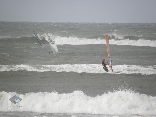 www.surfersdreamland