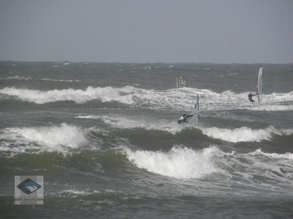 www.surfersdreamland
