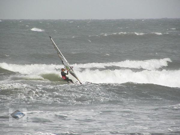 www.surfersdreamland