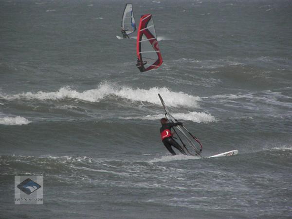 www.surfersdreamland
